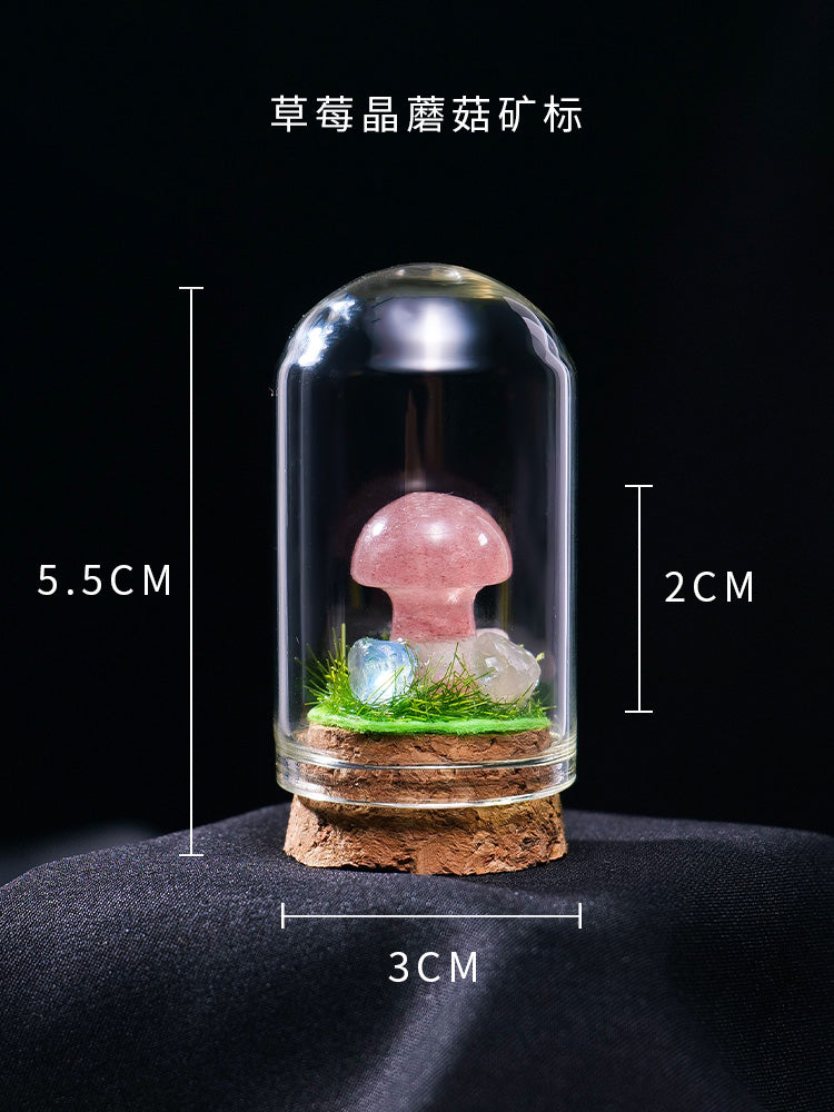 Perhiasan spesimen bijih kristal asli mineral kristal batu mentah batu permata batu akik batu sains popular kanak-kanak tangki ikan