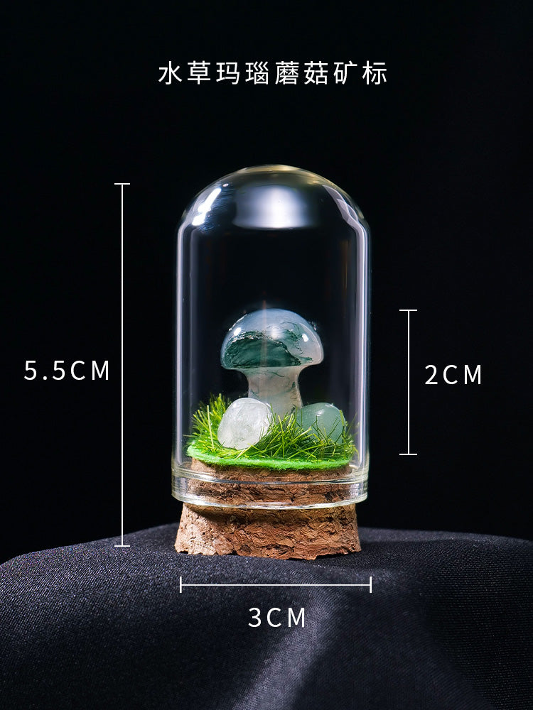 Perhiasan spesimen bijih kristal asli mineral kristal batu mentah batu permata batu akik batu sains popular kanak-kanak tangki ikan