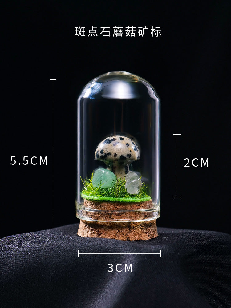 Perhiasan spesimen bijih kristal asli mineral kristal batu mentah batu permata batu akik batu sains popular kanak-kanak tangki ikan