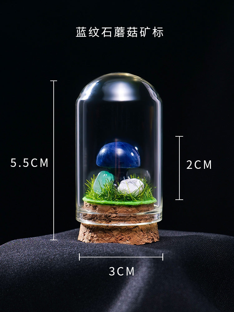 Perhiasan spesimen bijih kristal asli mineral kristal batu mentah batu permata batu akik batu sains popular kanak-kanak tangki ikan