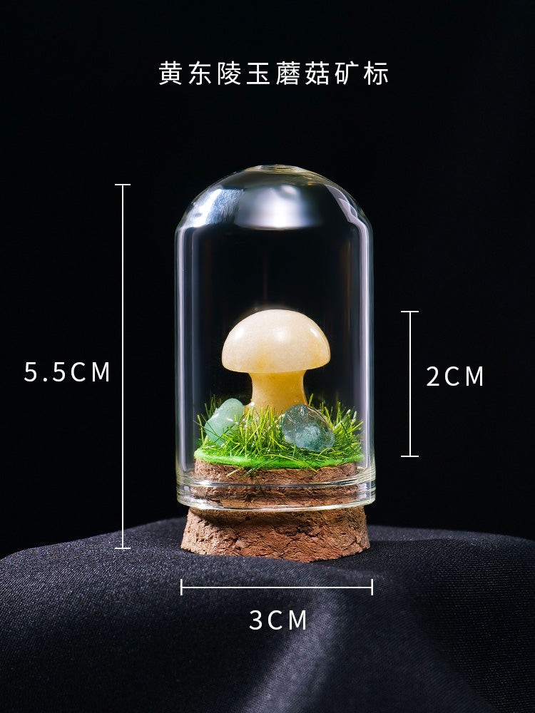 Perhiasan spesimen bijih kristal asli mineral kristal batu mentah batu permata batu akik batu sains popular kanak-kanak tangki ikan