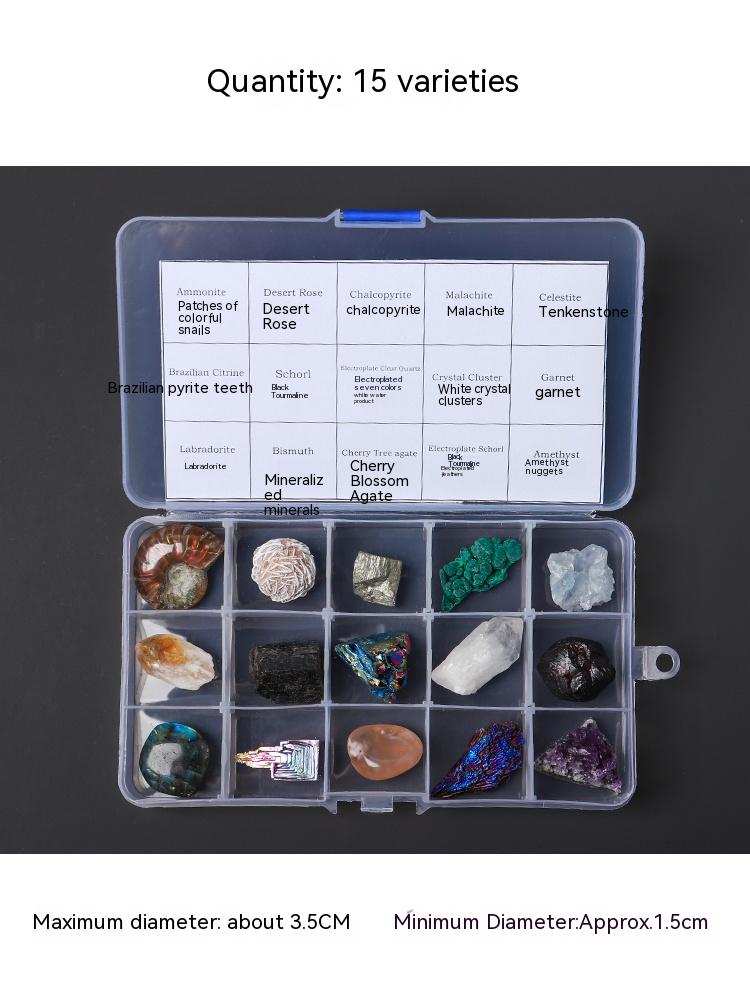 Natural crystal ore specimen archaeological excavation mineral crystal rock fossil raw ore children's popular science teaching gift